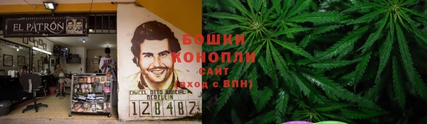 прущий лед Алзамай