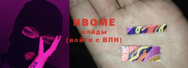 прущий лед Алзамай