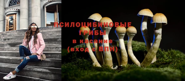 дживик Алексин