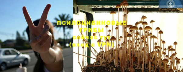 дживик Алексин