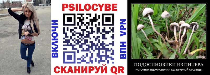 Галлюциногенные грибы прущие грибы  Нелидово 